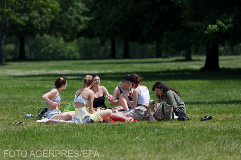 Londoniak a Hyde Parkban június 8-án | Fotó: Agerpres/EPA