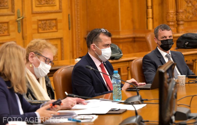 Renate Weber (balról a második) meghallgatása a jogi bizottságban | Fotó: Agerpres