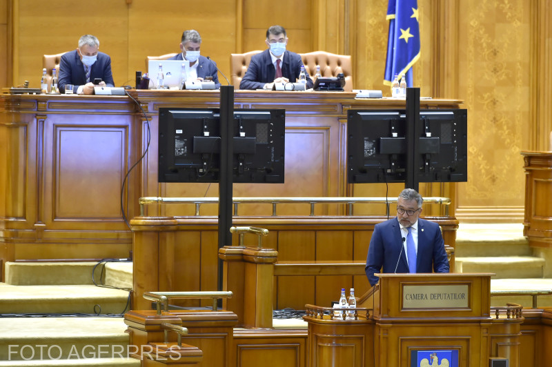 Lucian Romaşcanu szenátor ismertette az indítvány szövegét | Fotó: Agerpres
