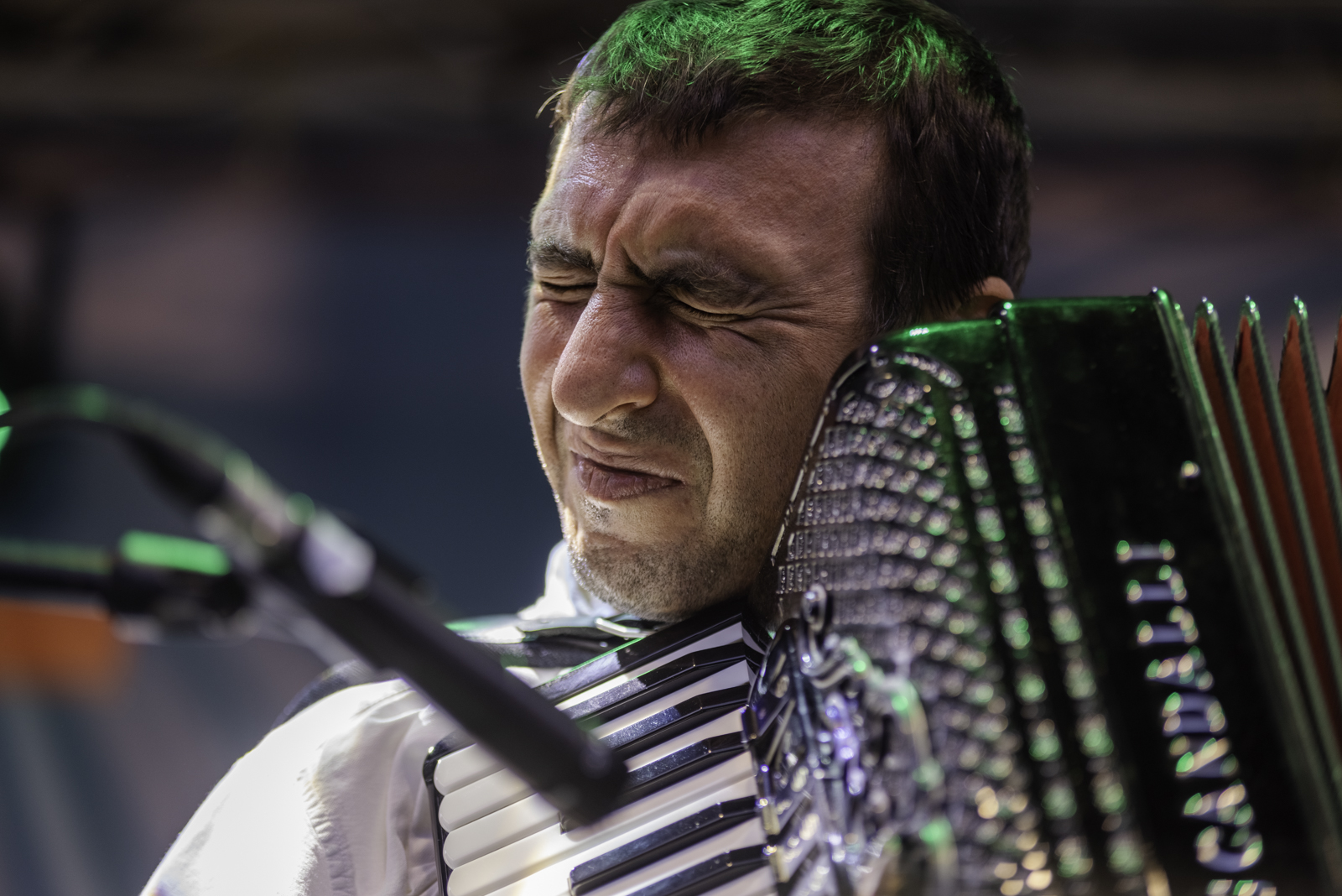 Az Örményországban született, 1995 óta Magyarországon élő David Jengibarjan harmonika-muzsikájával kápráztatta el a Jazzudvar látogatóit.