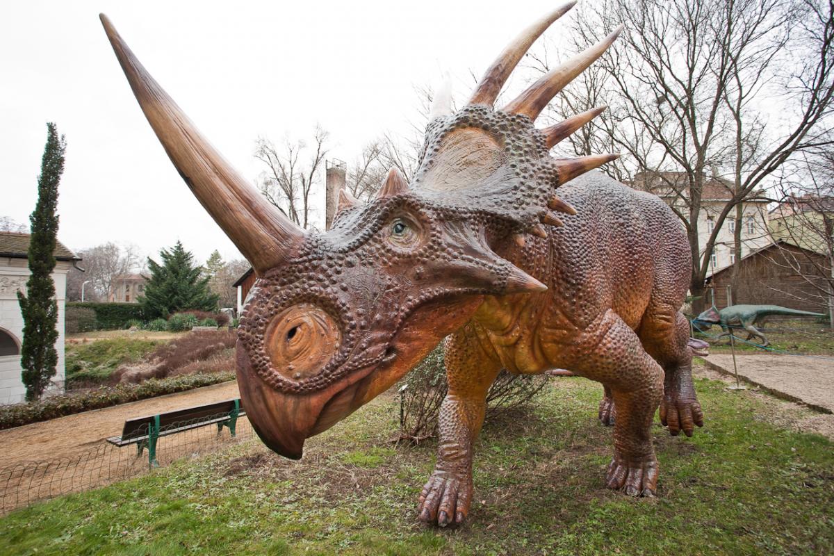 Illusztráció: a Magyar Természettudományi Múzeum DINÓKERT - Dinoszaurusz szoborkiállítása | Forrás: nhmus.hu