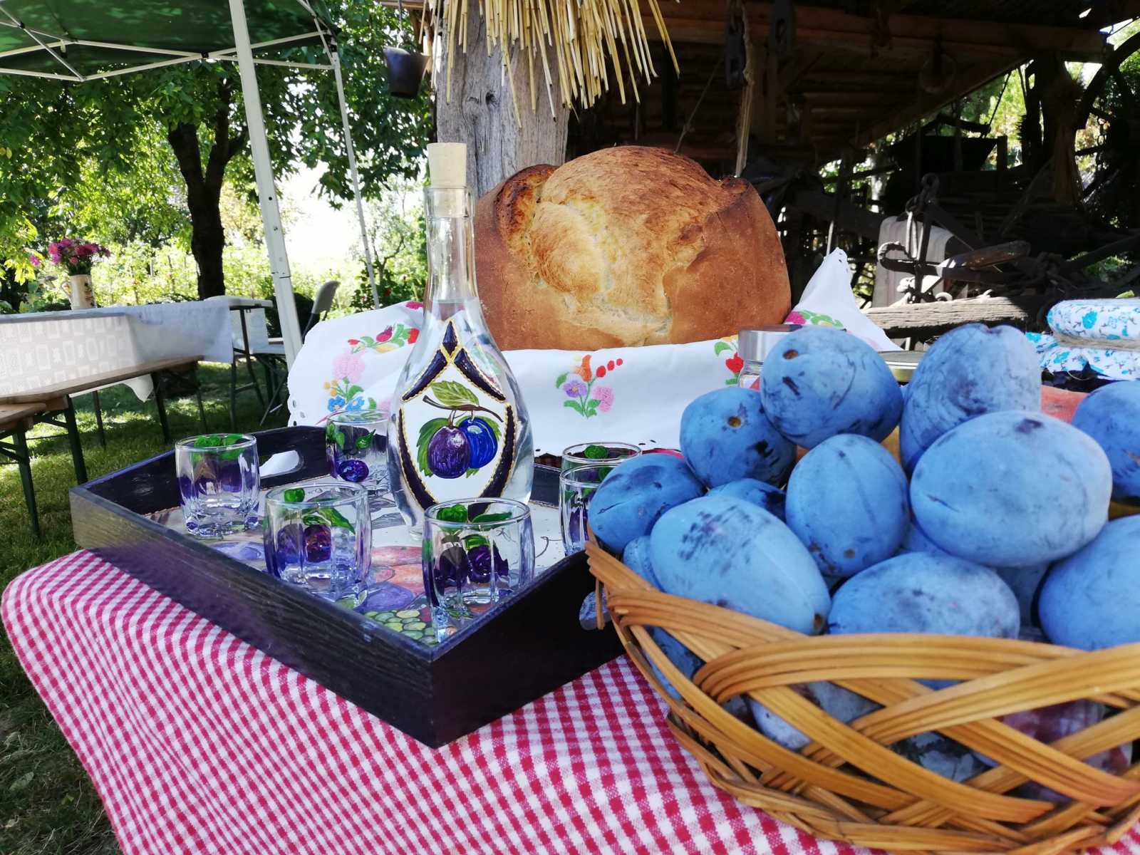 Tornyai szilvapálinka és szilva, háttérben a Magyarok Kenyere-programban őrölt lisztből sült kenyér.
