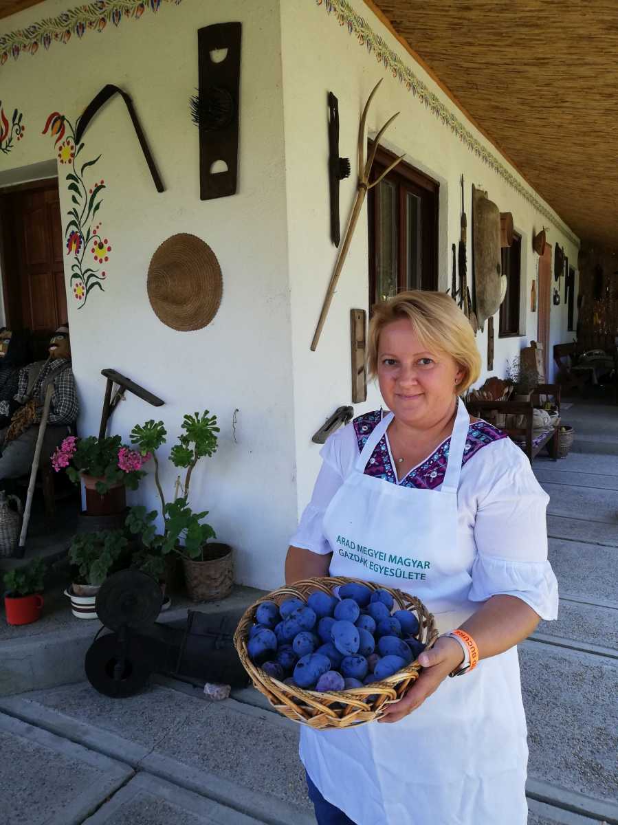 Kranowszky-Nagy Andrea, a CED Közép-európai Gazdaságfejlesztési Hálózat aradi regionális irodájának vezetője kóstolót is hozott az érett gyümölcsből. 