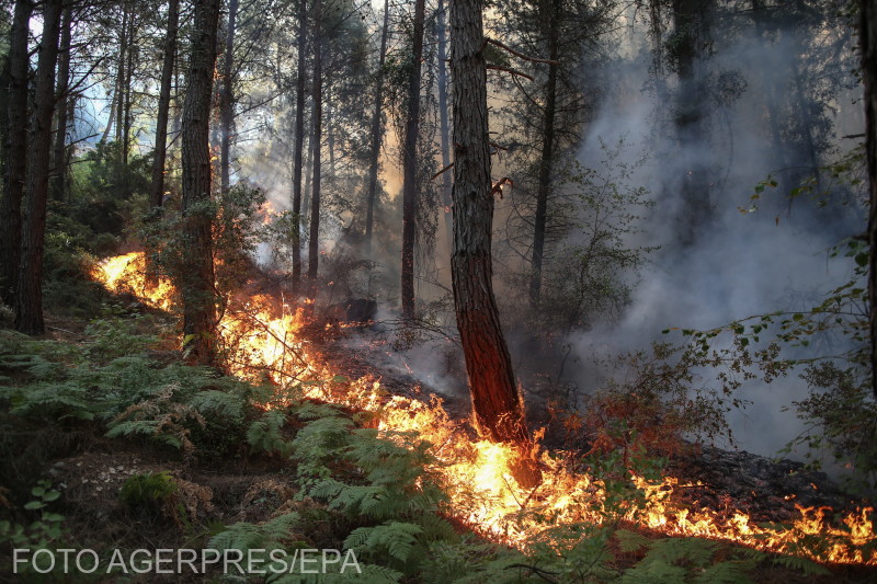 Két járásban még mindig tombol a tűz | Fotó: Agerpres/EPA