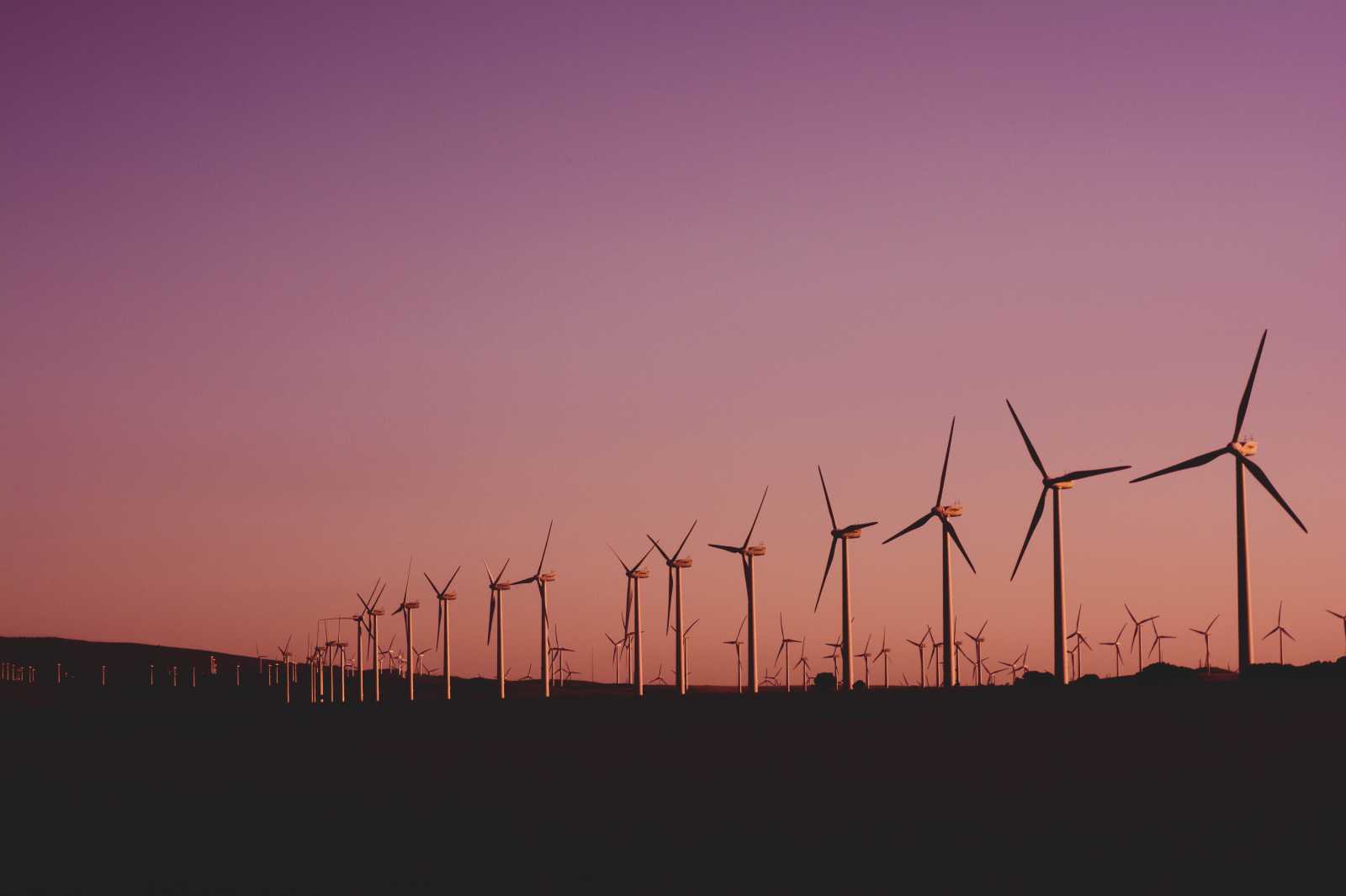 Megújuló energiaforrások válthatják fel a szenet / Fotó: Pexels/Narcisa Aciko