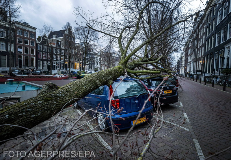 Amszterdamban is pusztított az orkán | Fotó: Agerpres