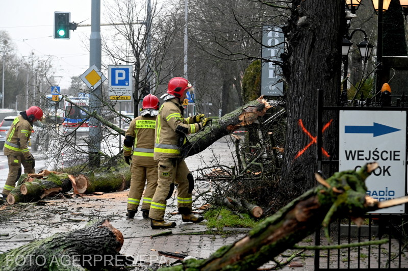 Tűzoltók távolítják el a viharban letört faágakat a lengyelországi Szczecinben | fotó: Agerpres/EPA