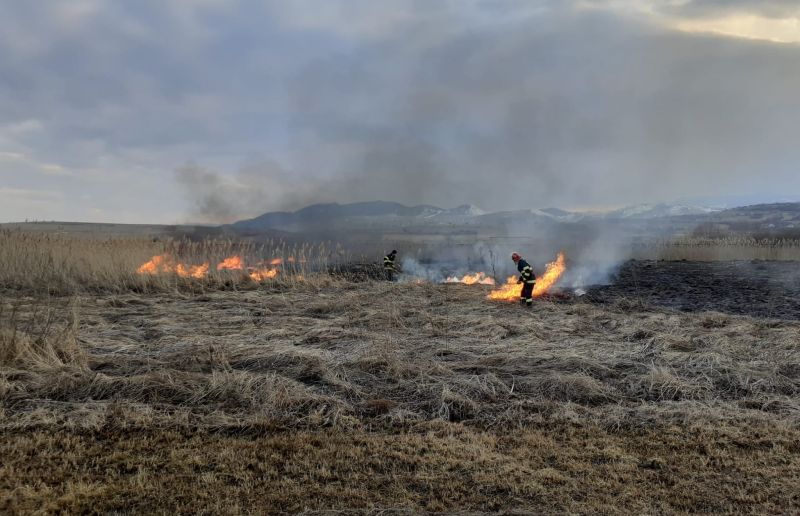 A száraz növényzet és az erős szél miatt gyorsan tovább terjedhet a tűz | A Kolozs Megyei katasztrófavédelmi Felügyelőség felvétele