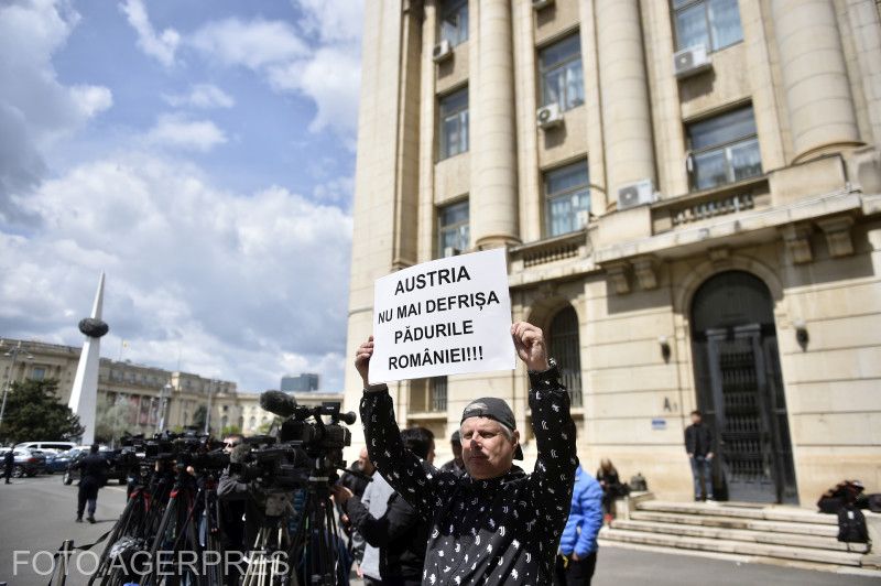 Egy tüntető azt nehezményezte a belügyminisztérium előtt, hogy miközben Ausztria ellenzi Románia schengeni csatlakozását, kitermeli az erdőit | Fotó: Agerpres