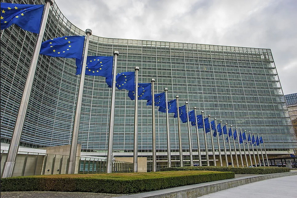 Az Európai Bizottság válaszára várnak Fotó: Európai Bizottság
