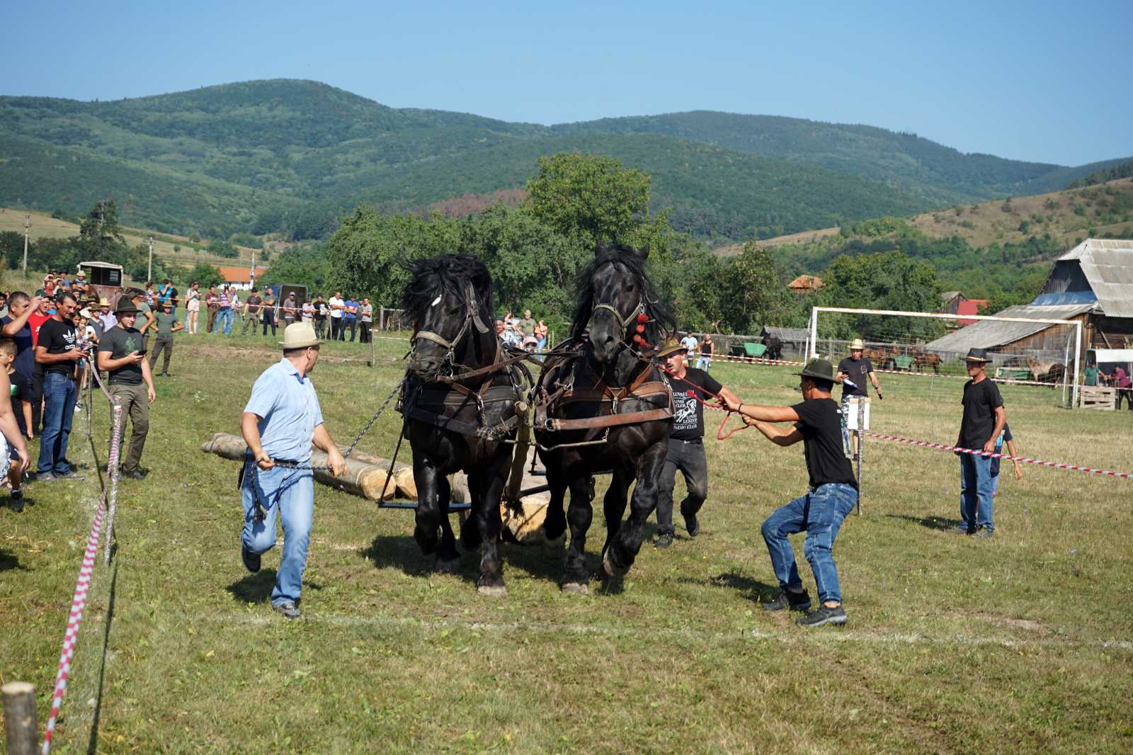 Kovács Gábor kettős fogata nyerte a nehézsúlyú lovak versenyét