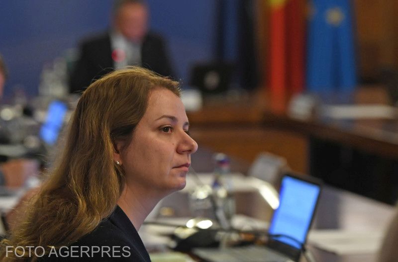 Ligia Deca tanügyminiszter módszerei zavarják a PSD-t | Fotó: Agerpres