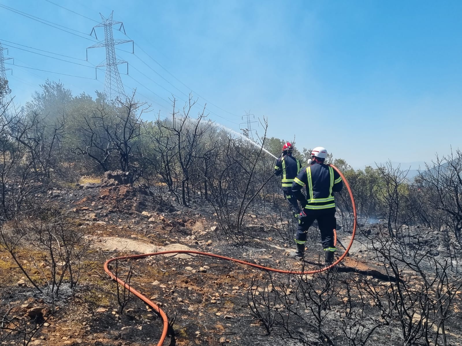 A romániai tűzoltók hétfőn igyekeztek megfékezni Kouvaras környékén a tüzet | Fotó: Román katasztrófavédelem