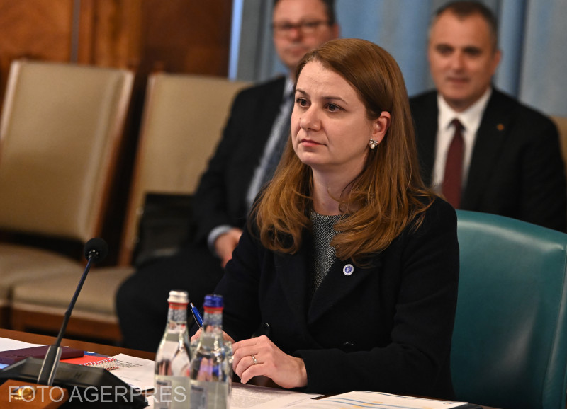 Ligia Deca tanügyminiszter a szerdai kormányülésen | Fotó: Agerpres