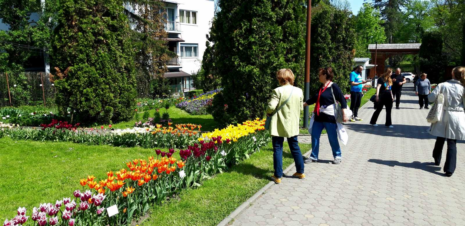 Ennek ellenére nemcsak a fiatalabbak, hanem az idősebbek is szép számmal érkeztek az Alexandru Borza nevét viselő botanikus kertbe, amit 1922–23 között költöztették át eredeti helyéről, a Mikó-kertből a jelenlegi Majális utcába.