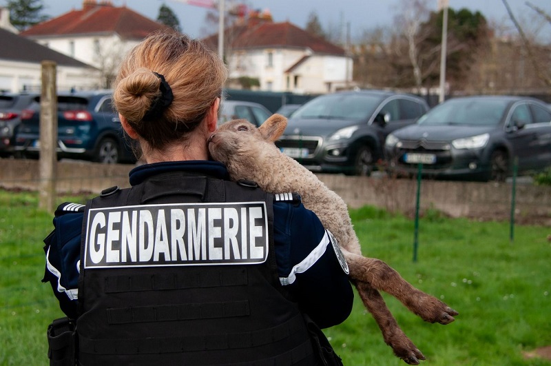 Illusztráció: Francia Csendőrség Facebook oldala 