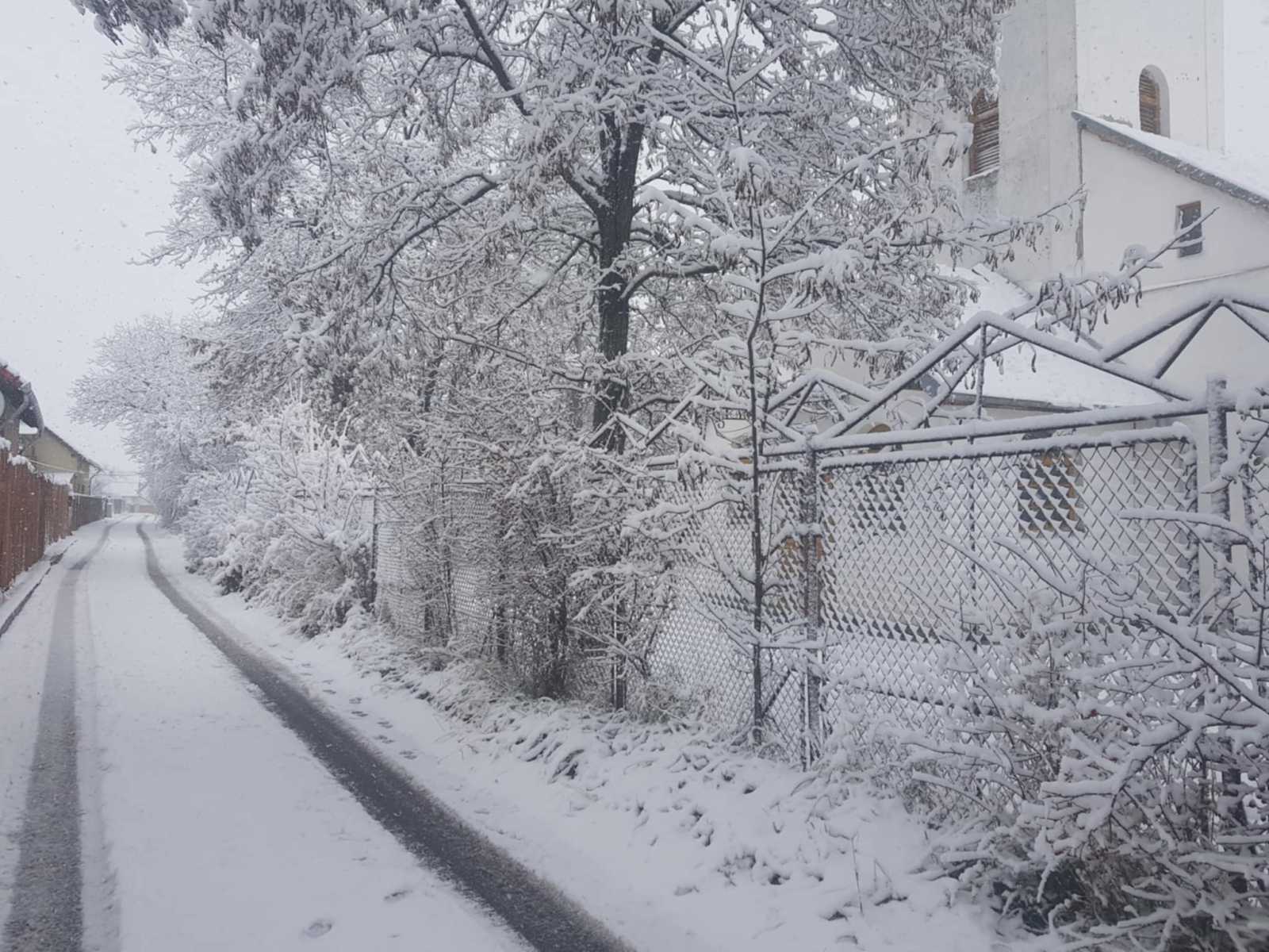 Megmaradt a hó Árkoson | Fotó: Kovács Bíró Blanka