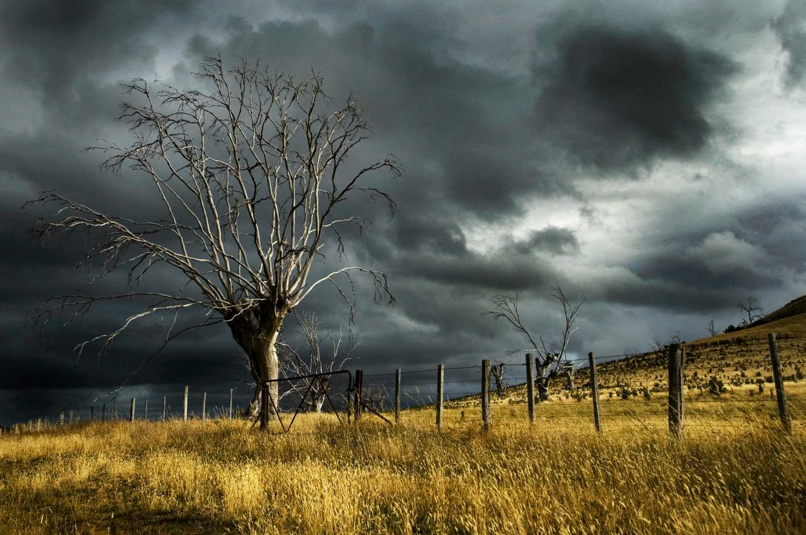 Elsősorban időjárásmodellezés fog történni a projekt által.| Fotó: Pexels