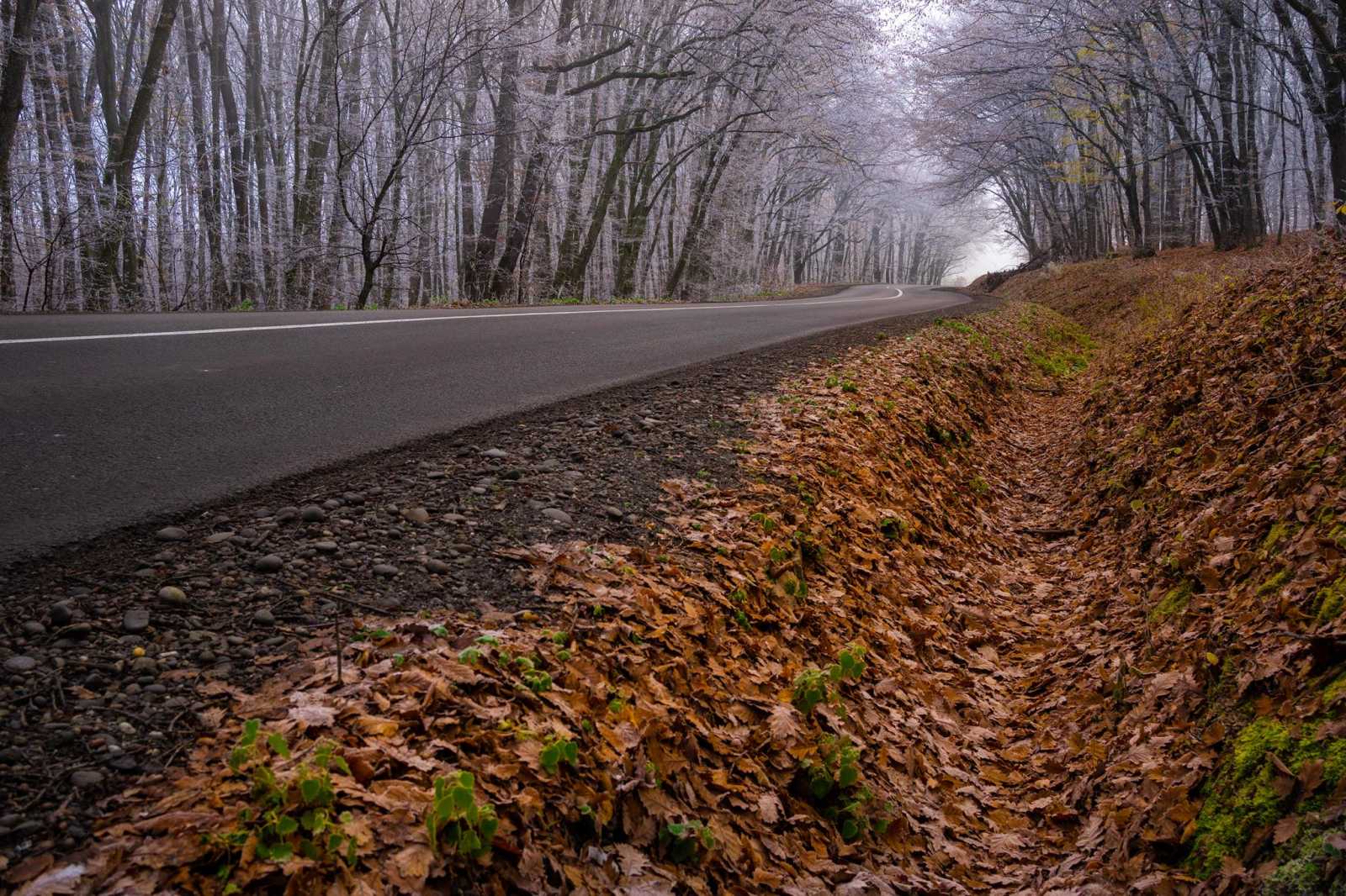 712 km. út karbantartása a Maros Megyei Tanács feladata/Fotó: Visit Maros Facebook oldala