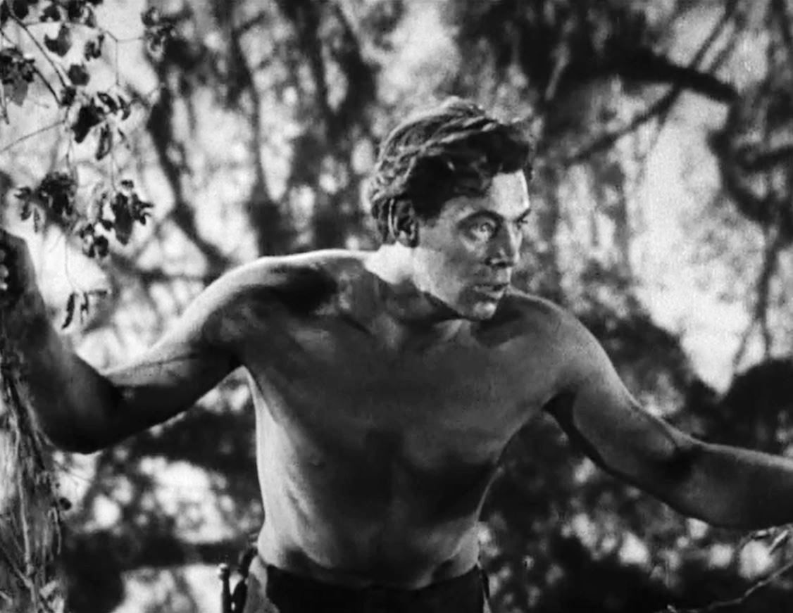 Johnny Weismüller a Tarzan című filmben | Fotó: Wikipedia