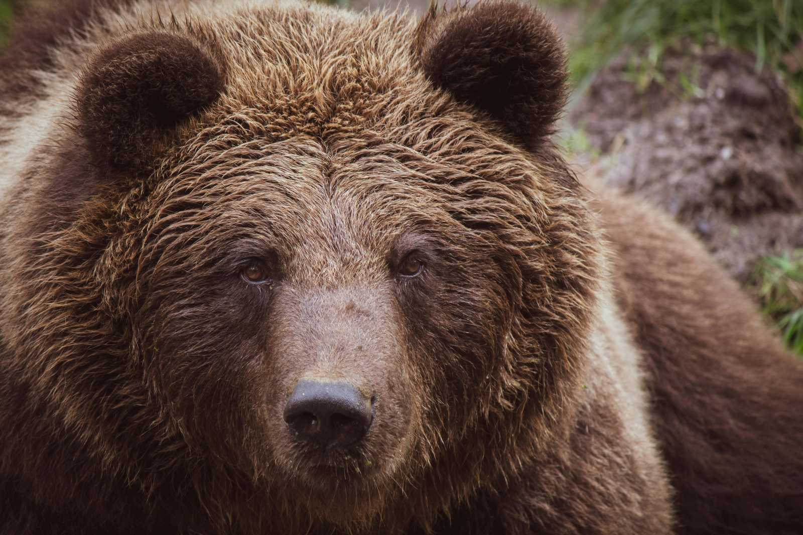 Nem a szombati az első felbukkanásuk. | Fotó: Pexels