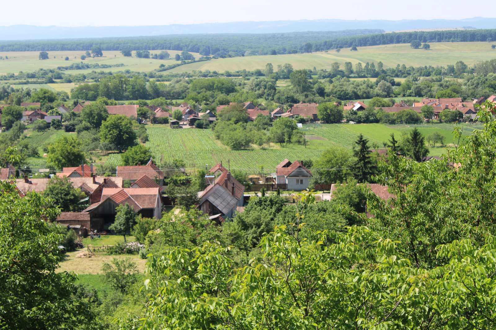 Zovány felülnézetből