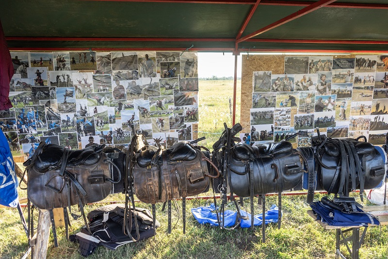 Fotó- és felszereléskiállítás a lovasnapokon | A szerző fotói
