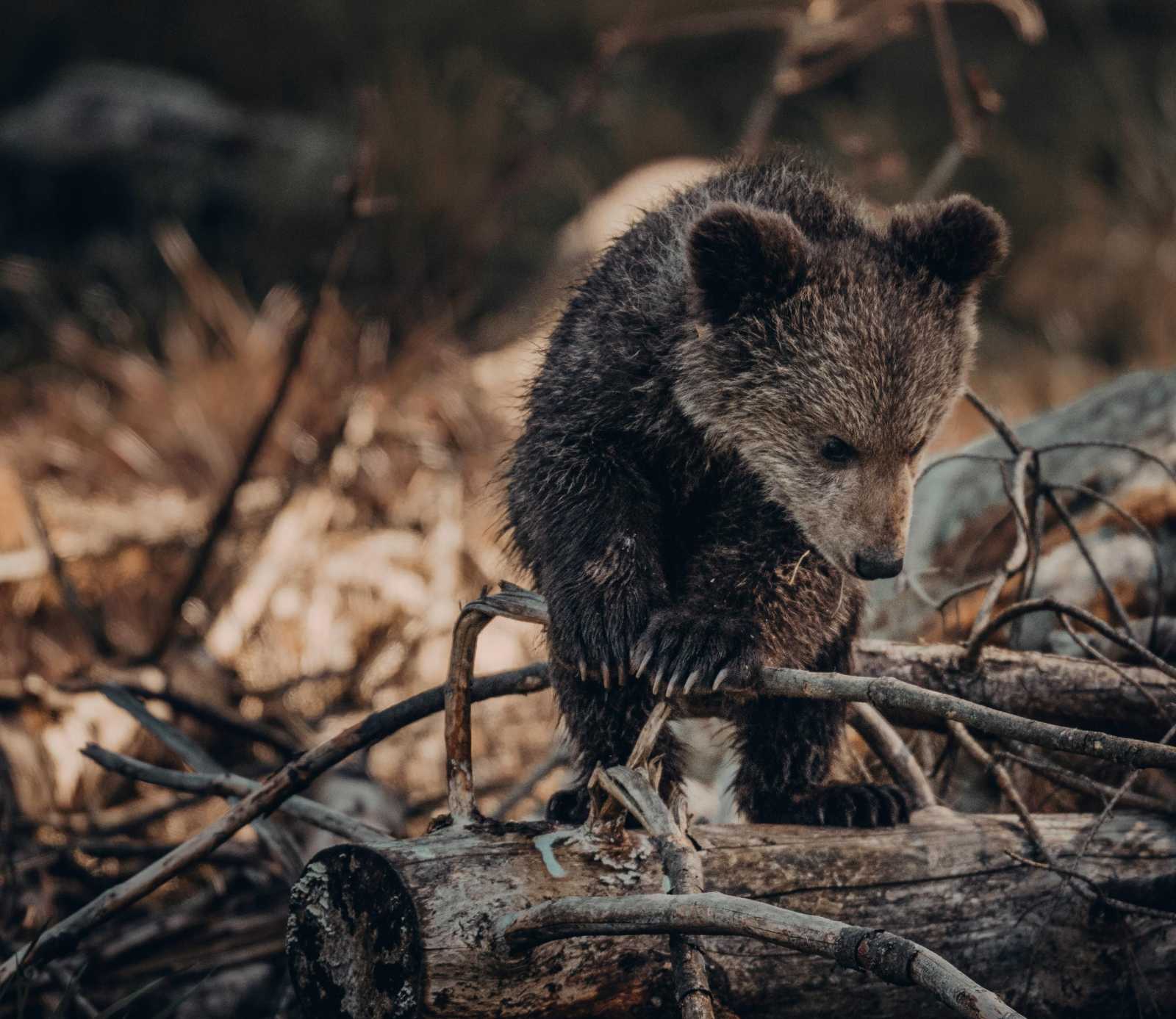 Illusztráció | Fotó forrása: Pexels