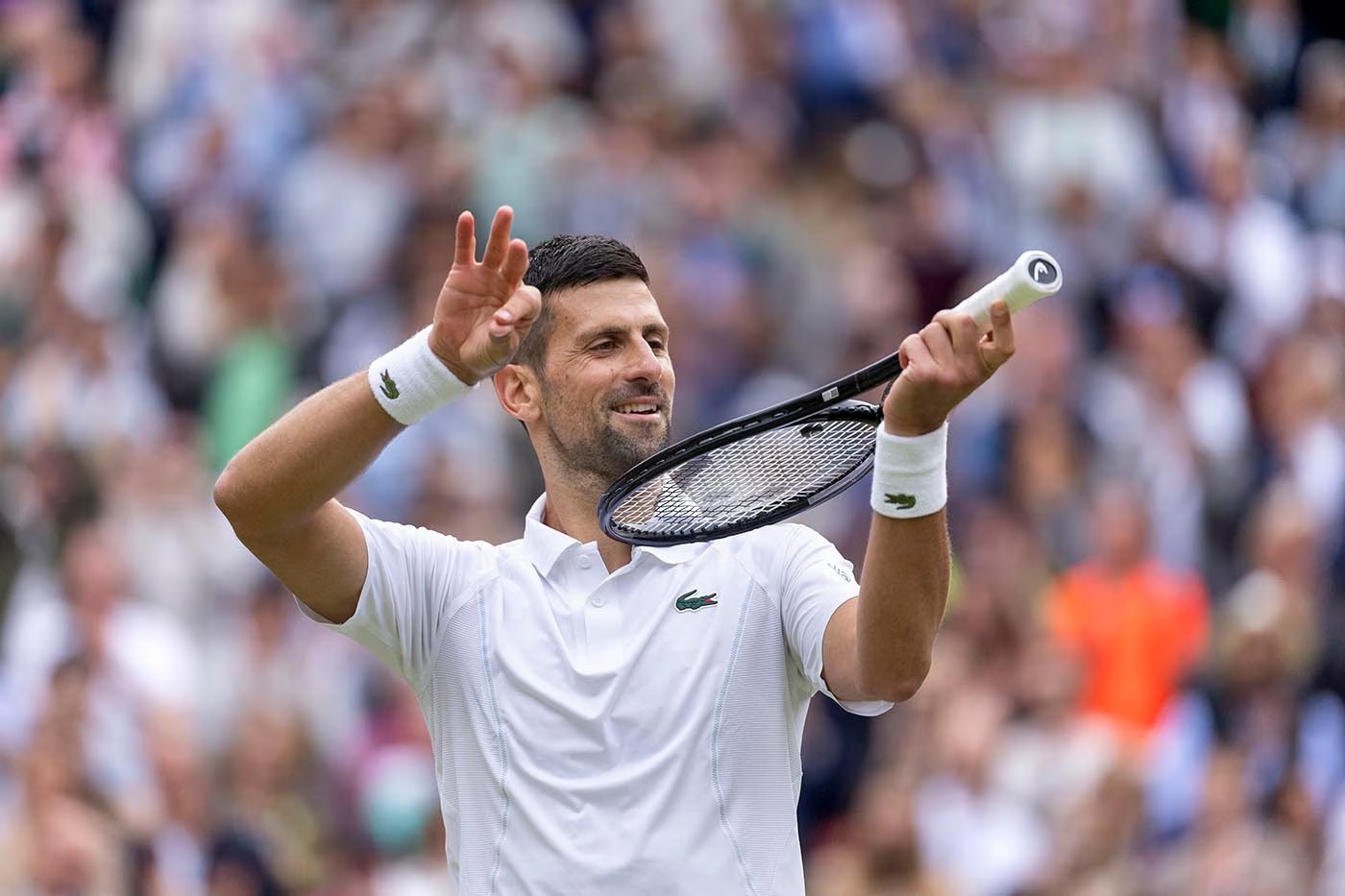 Novak Djokovics | A sportoló személyes archívuma