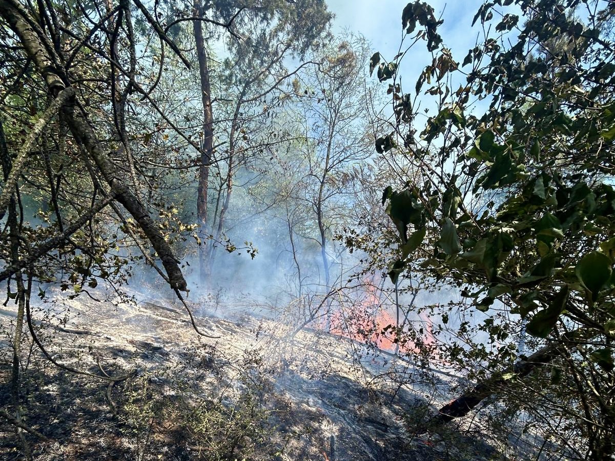 Fotó: ISU Maros