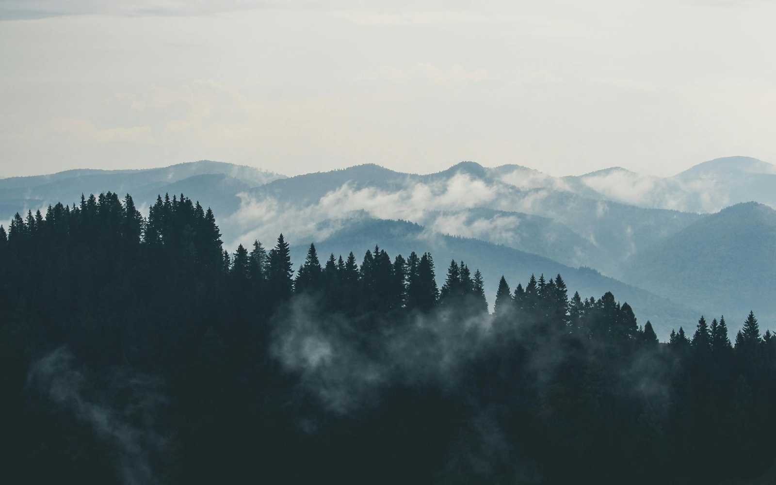 Illusztráció | Fotó: Pexels