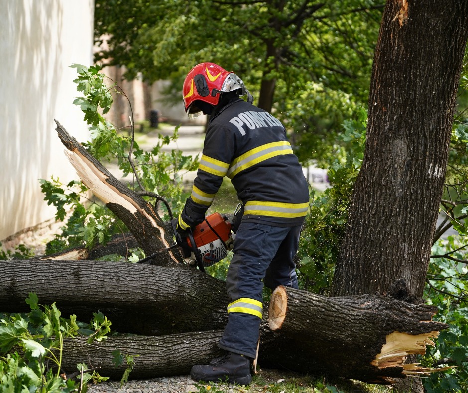 Fotók forrása: katasztrófavédelmi főfelügyelőség