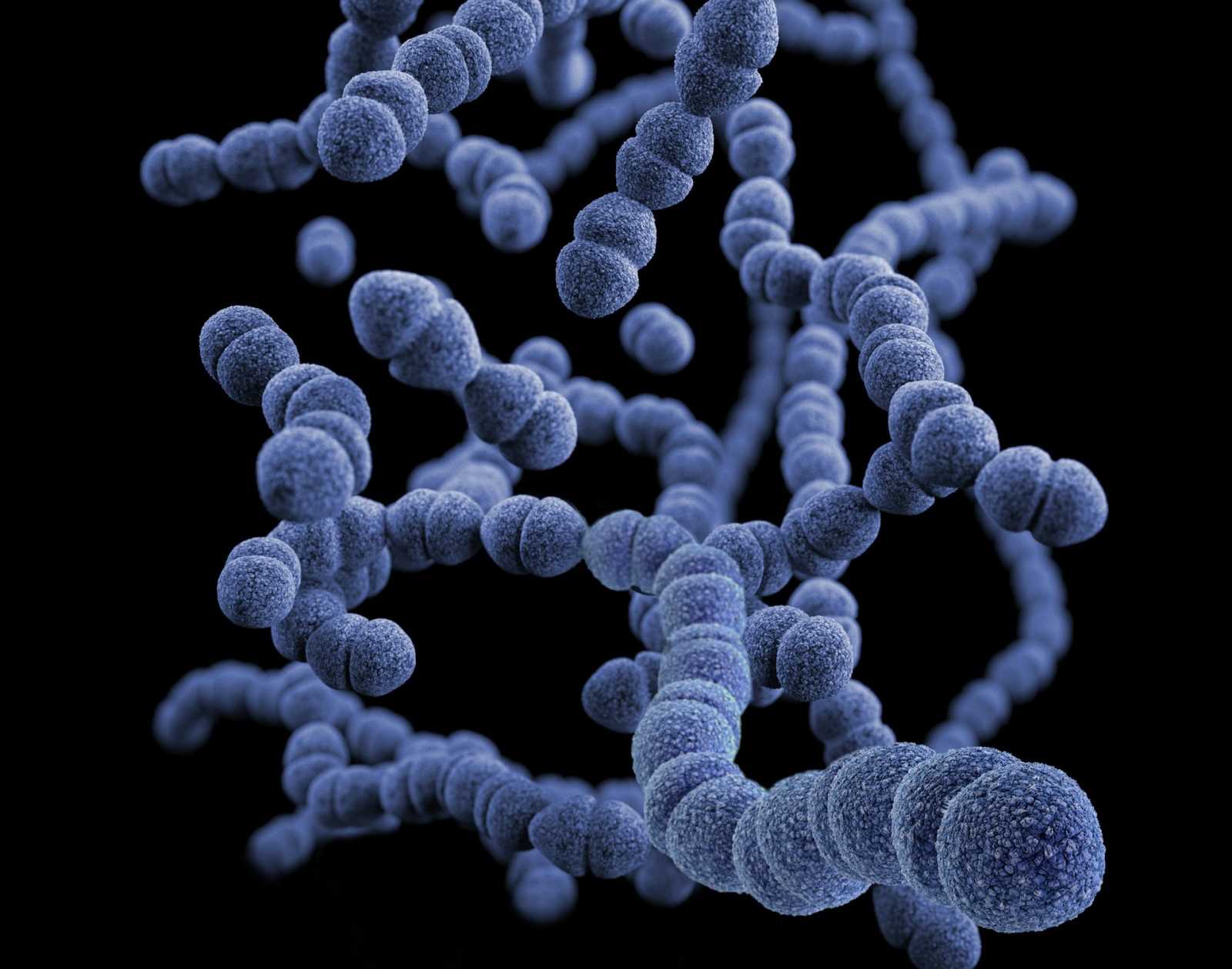 Illusztráció: háromdimenziós, számítógéppel generált kép a Gram-pozitív Streptococcus pneumoniae baktériumcsoportról | Fotó forrása: Unsplash