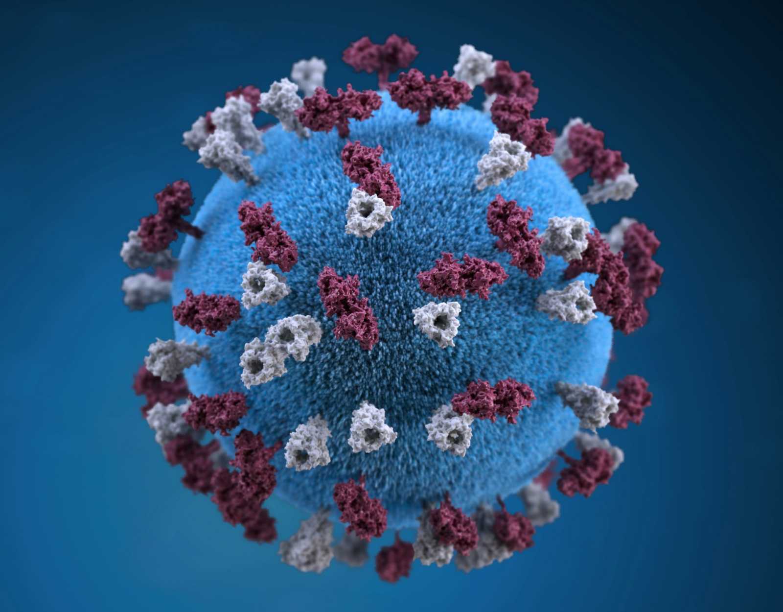 Illusztráció: egy gömb alakú, kanyaróvírus részecske ábrája 3D-ben | Forrás: Unsplash