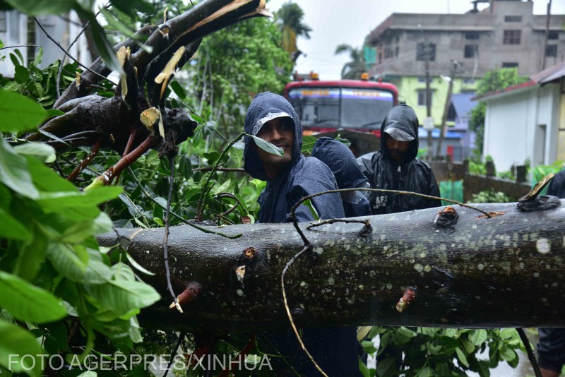 A viharban kidőlt fát takarítanak el az útról az indiai Assam állam északkeleti részén fekvő Nagaon körzetében, miután lecsapott a Remal ciklon. | Fotó: Agerpres