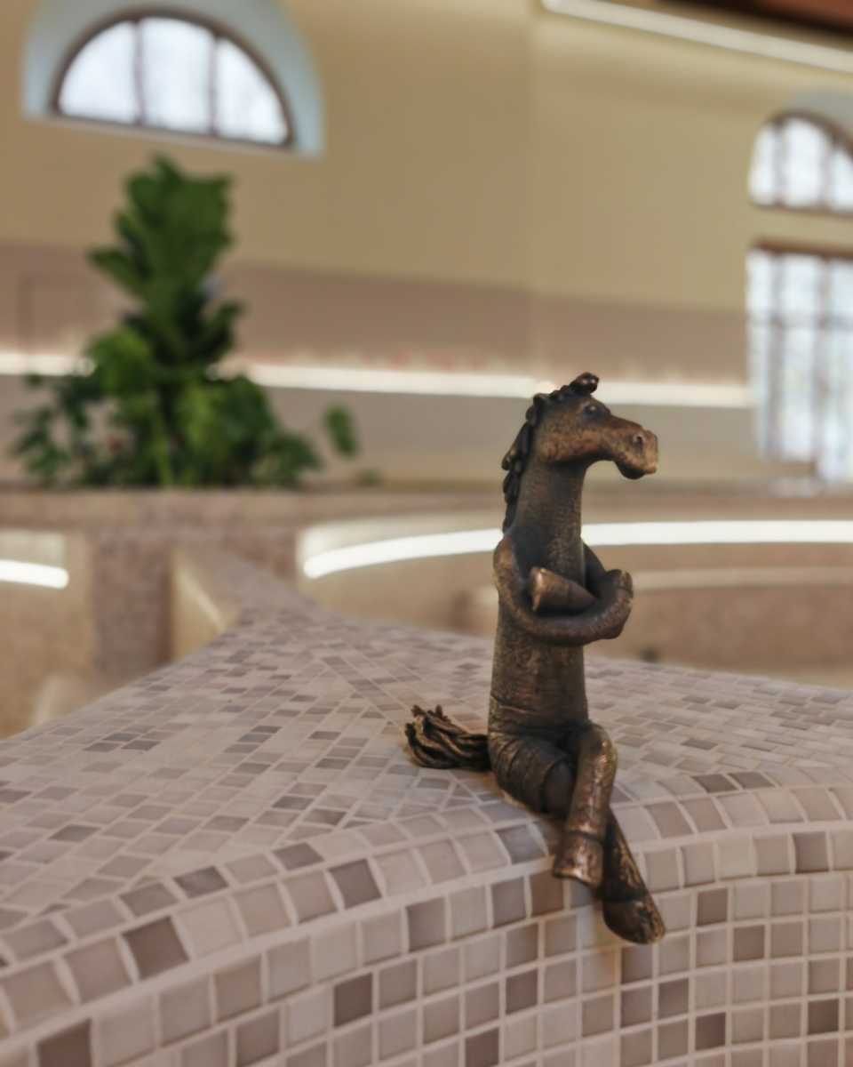 Ló fürdőzik a vízben.