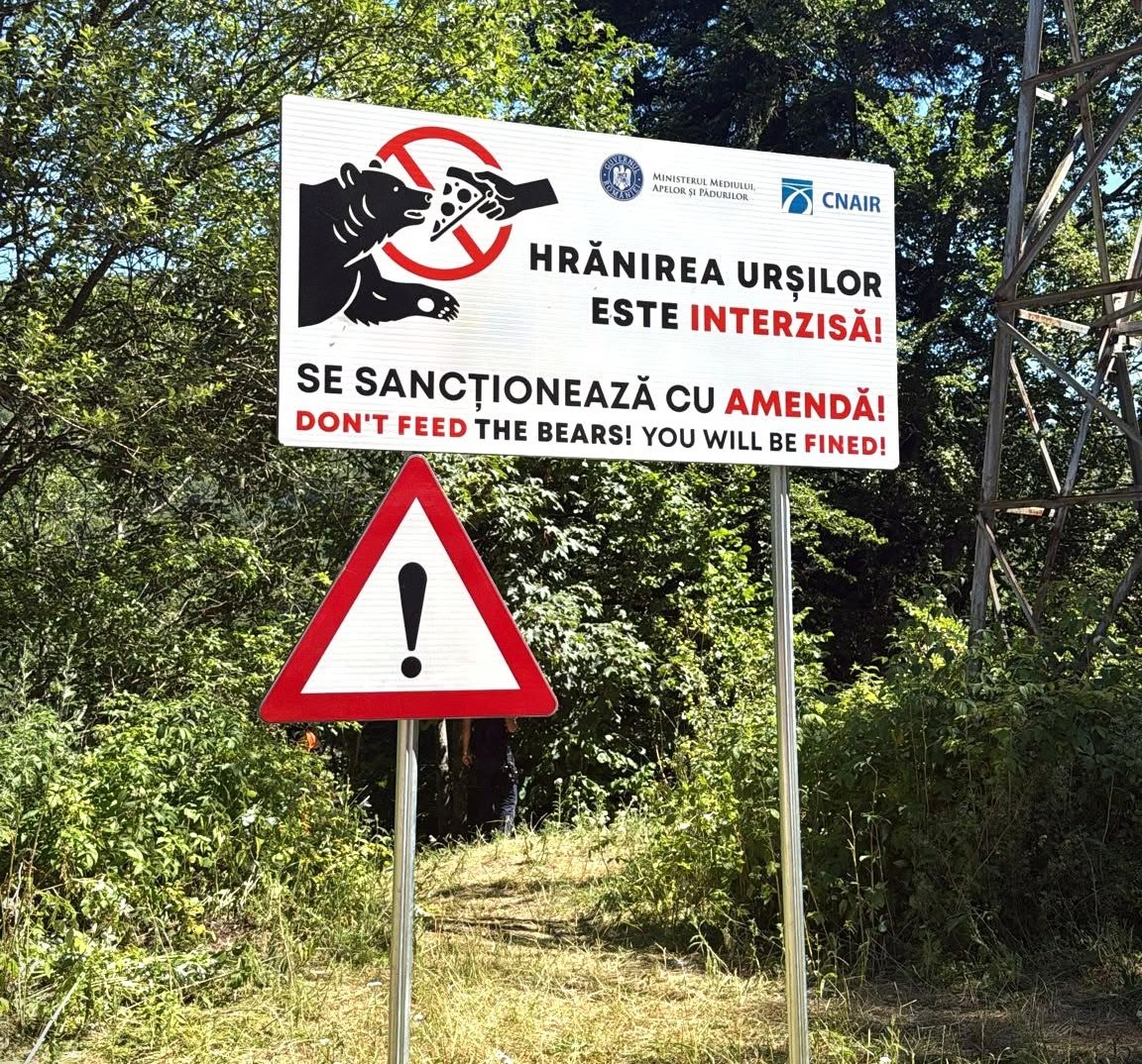 A medveetetést tiltó tábla az út szélén | Fotó: Romsilva 