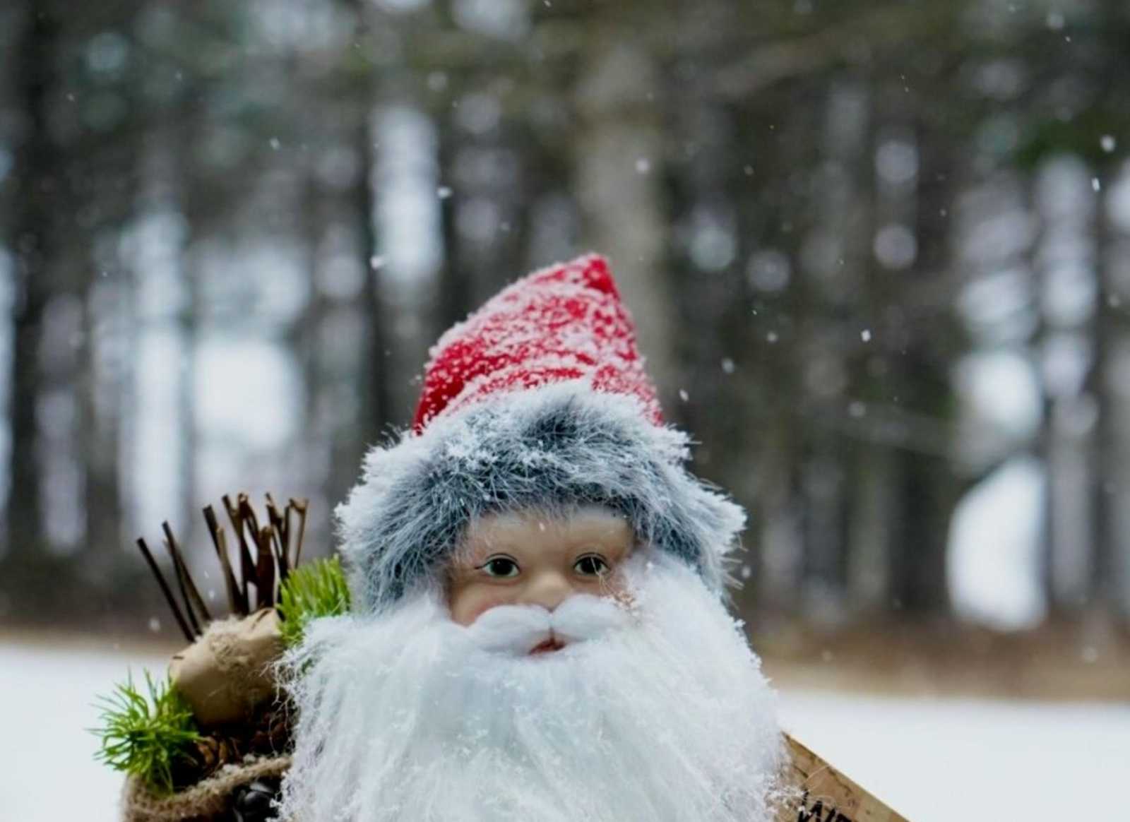 A virgácsnak is megvan a szerepe. | Fotó: Unsplash