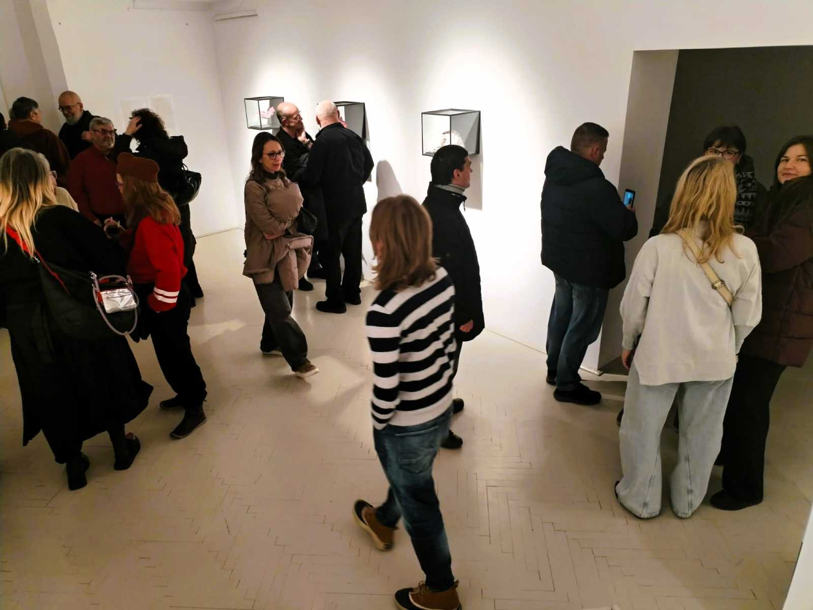 A megnyitó közönsége.