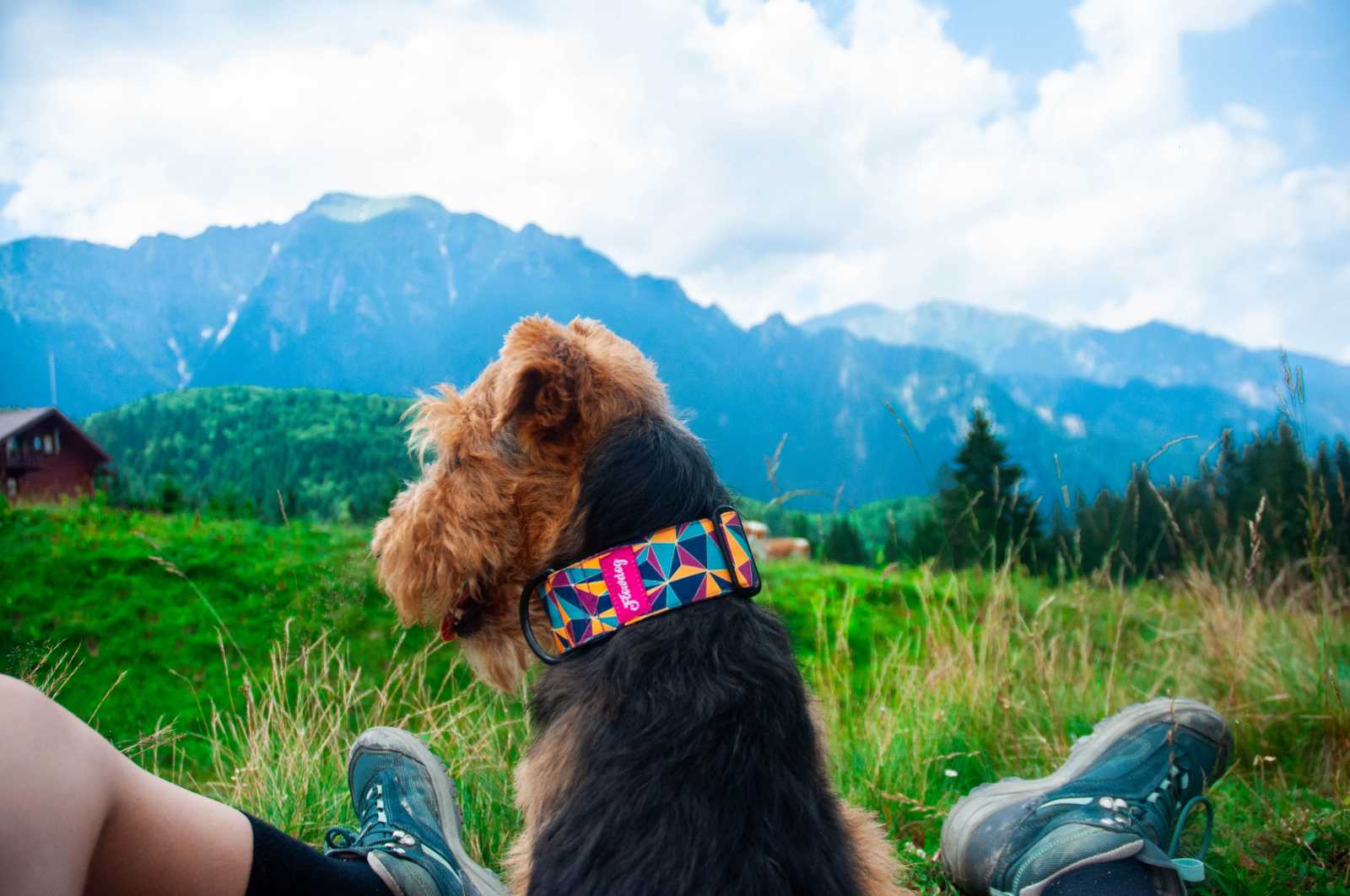 Az erdélyi hegységekben a fő útvonalak mellett számos különböző pihenőhely van | Fotó: Páll Andrea Hanna