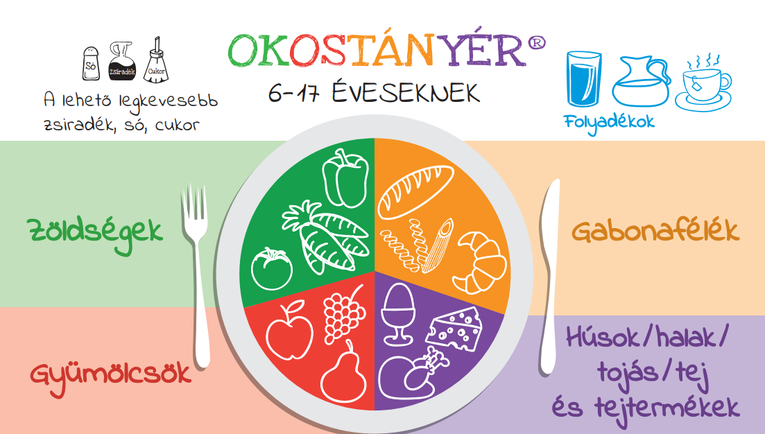 Okostányér | Fotó: képernyőmentés