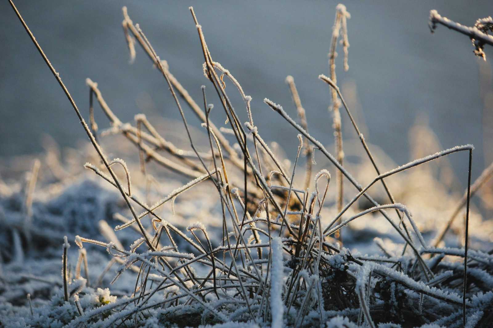 Még néhány napig tart a fagyos időjárás. | Fotó: Pexels