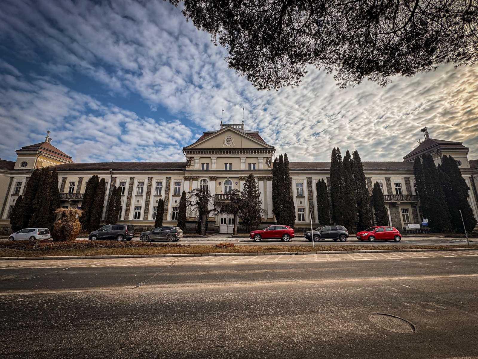 A főbejáratnál álló szilfák a helyükön maradnak | Fotó: Csíkszereda Városháza