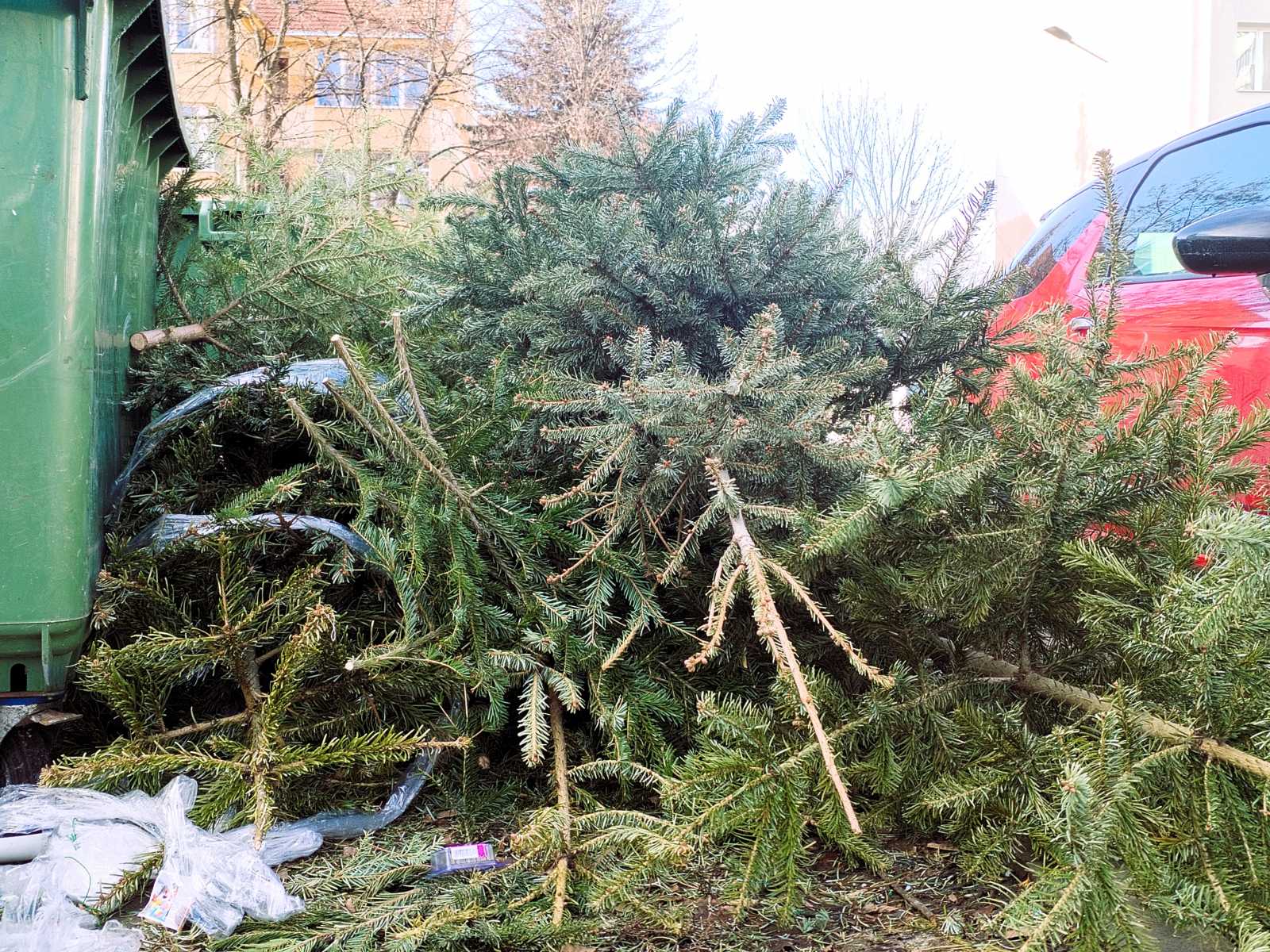 Fontos volna, hogy minden műanyagtól szabadítsuk meg a fákat