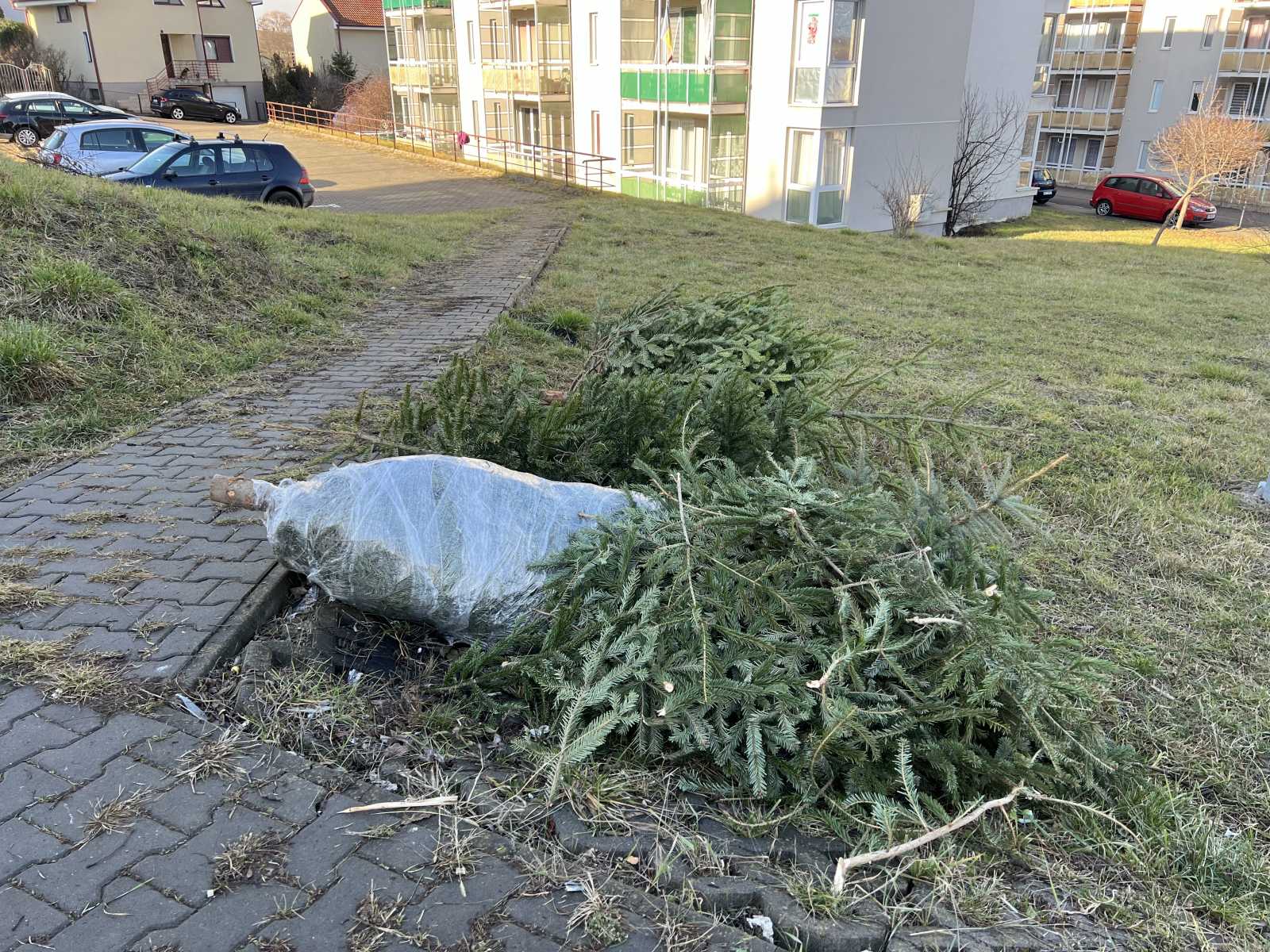 A felsőbb emeletekről, a lépcsőházban lehurcolt fa jócska szemetet hagy maga után, így tanácsos - amint csomagolva vittük fel - valamibe burkolni és úgy vinni |Fotó: a szerző felvétele