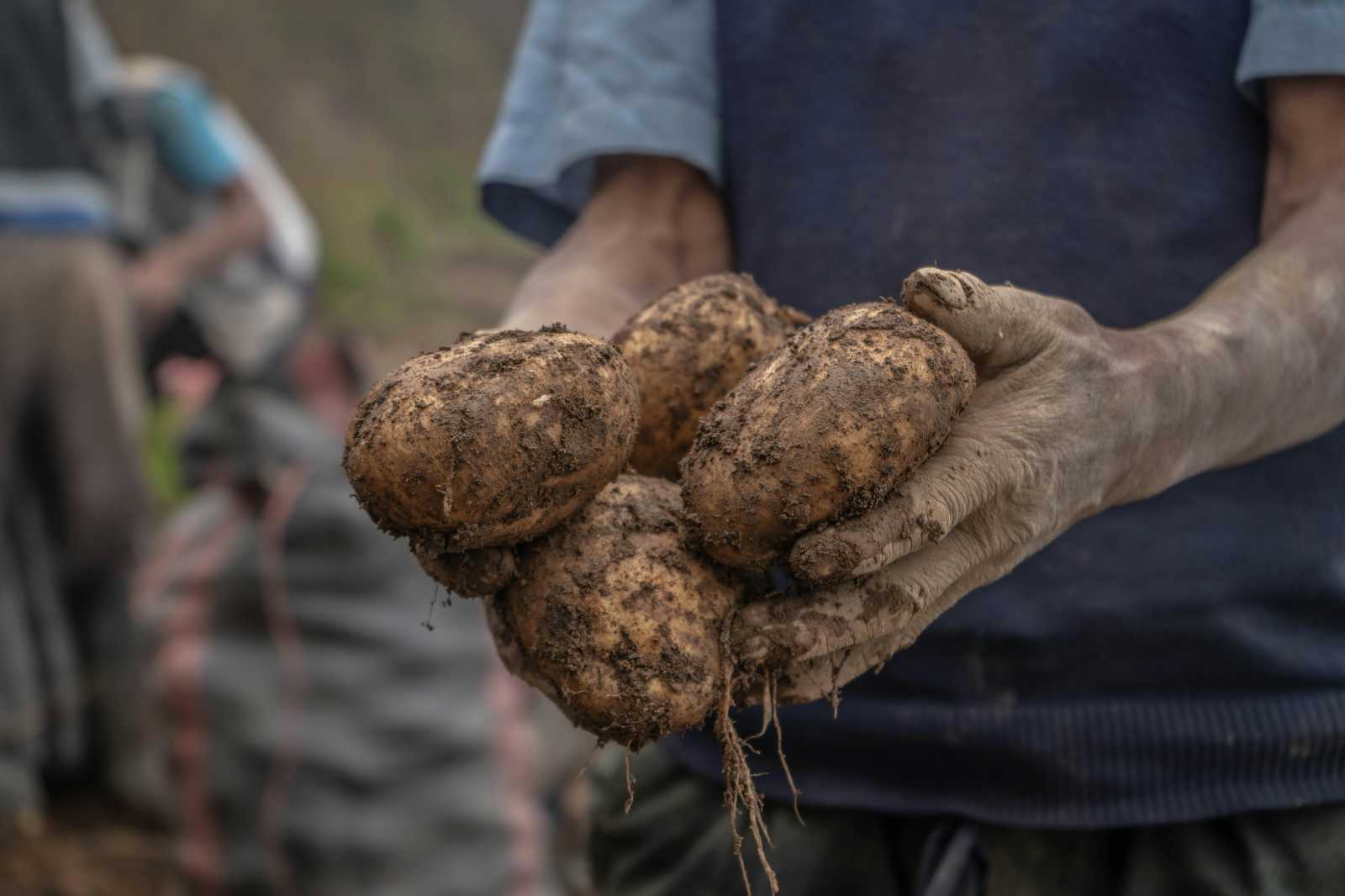 A támogatások összegei és szabályai nem változnak a jelenlegi ciklus végéig | Fotó: Pexels