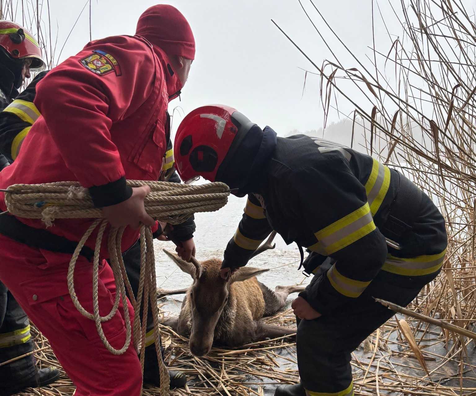 Gumicsónakkal léptek közbe a tűzoltók | Fotó: ISU Brasov