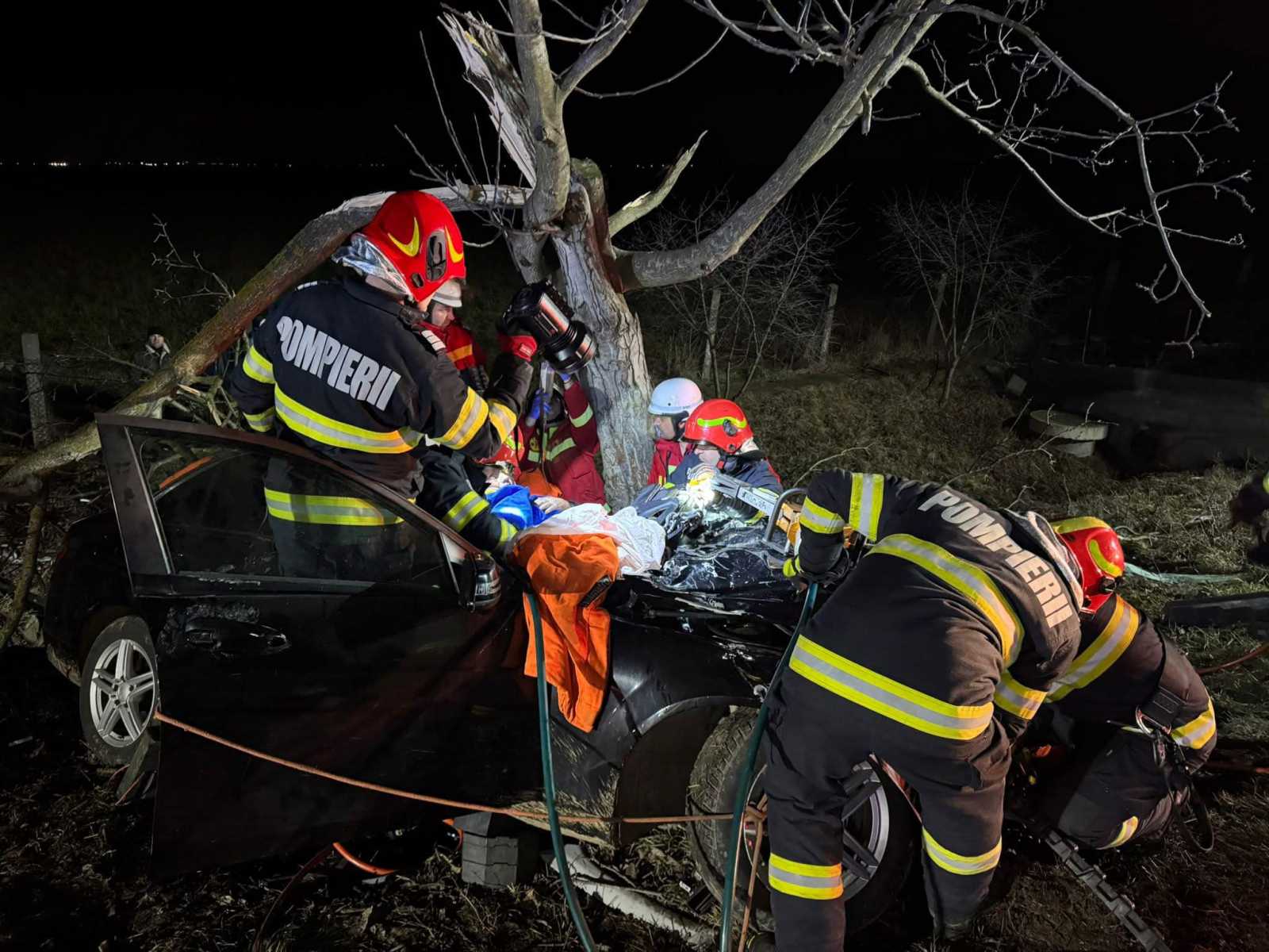 Fának csapódott az autó | Fotó: Info Trafic 24