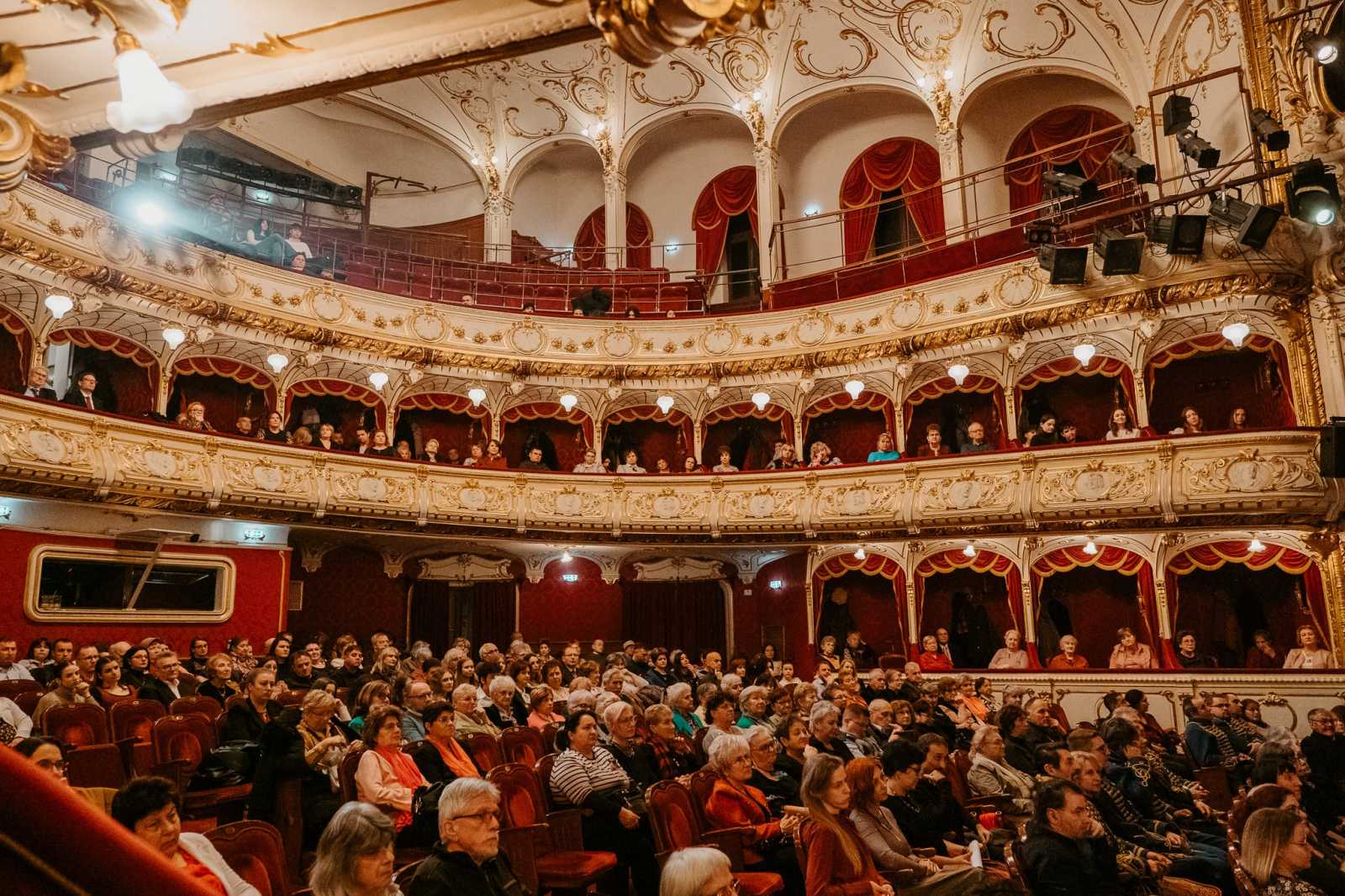 Benépesült a színház a gála alkalmával | Fotók: Bihar megyei RMDSZ