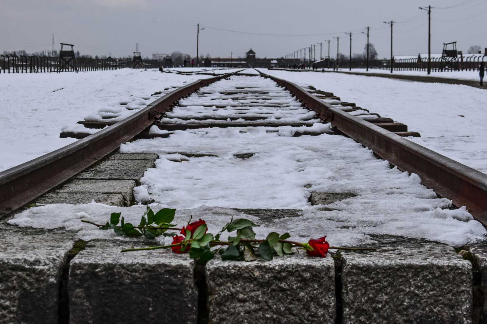 A túlélők fognak beszélni a megemlékezésen Auschwitzban. | Fotók: Pexels